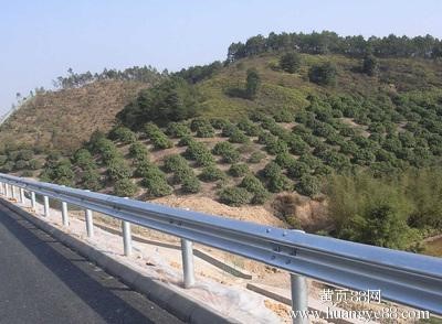 热镀锌护栏板